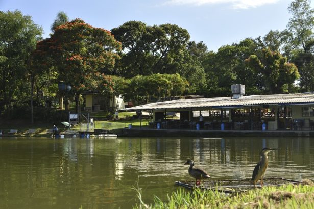 Cidades turísticas de SP esperam 86% de aumento no movimento nesta primavera. Imagem: Governo de SP