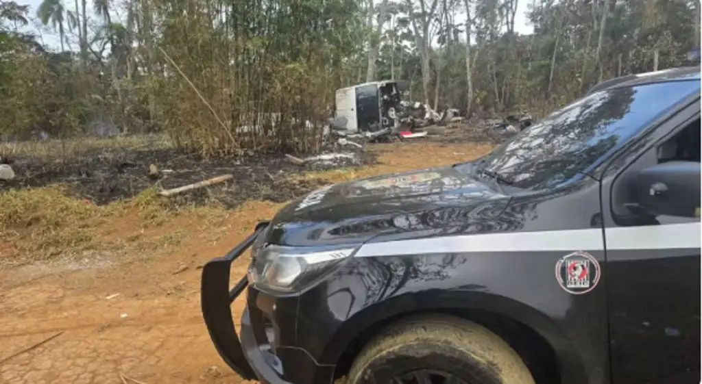 Três dos seis cachorros levados em roubo de Van estão desaparecidos. Imagem: Divulgação Polícia Civil