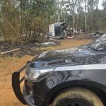 Três dos seis cachorros levados em roubo de Van estão desaparecidos. Imagem: Divulgação Polícia Civil