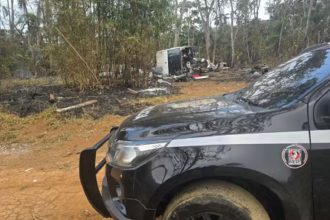 Três dos seis cachorros levados em roubo de Van estão desaparecidos. Imagem: Divulgação Polícia Civil