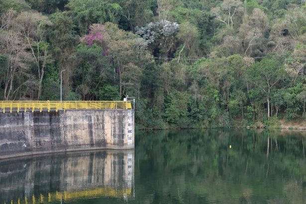 Sistema Cantareira fica abaixo de 30% e estado inicia Faixa de Restrição. Imagem: Rovena Rosa/Ag. Brasil