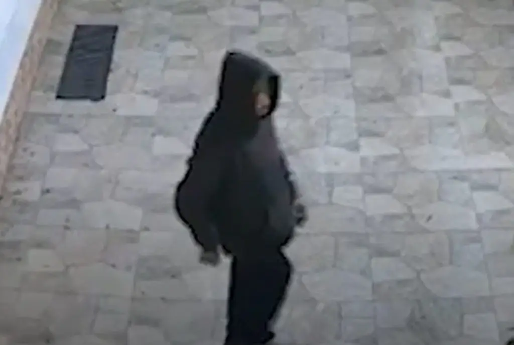 Homem tenta invadir escola em São Paulo e se dá mal. Imagem: Reprodução