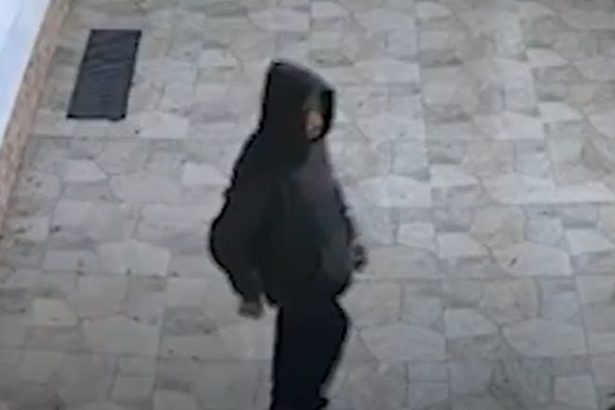 Homem tenta invadir escola em São Paulo e se dá mal. Imagem: Reprodução