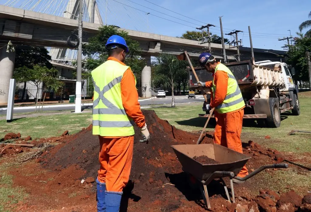 São Paulo chega a 115 mil árvores plantadas em 2025, diz prefeitura. Imagem: JF Diorio Secom