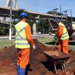 São Paulo chega a 115 mil árvores plantadas em 2025, diz prefeitura. Imagem: JF Diorio Secom