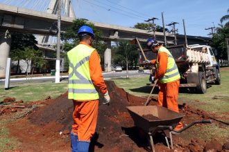 São Paulo chega a 115 mil árvores plantadas em 2025, diz prefeitura. Imagem: JF Diorio Secom