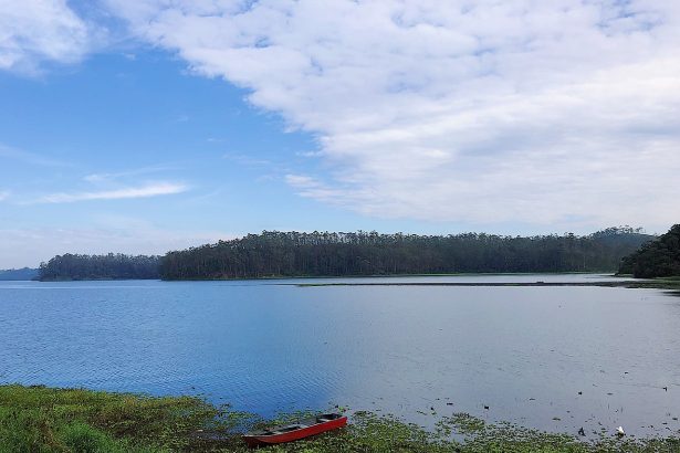 Aos 11 anos, menino se afoga na represa Billings, em São Paulo. Imagem: Wikimedia Commons