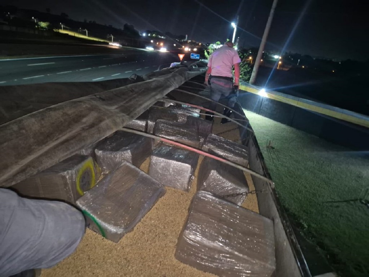 Drogas: Em 2025 Polícia Rodoviária de SP supera apreensões de 2024. Imagem: Governo de SP