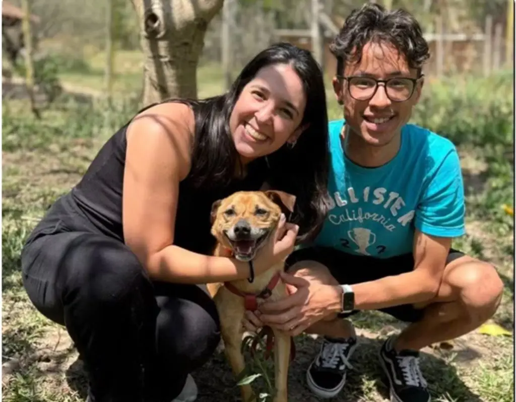 Marcelinho, cachorro atropelado por bêbada, tem alta e volta para casa. Imagem: Arquivo pessoal