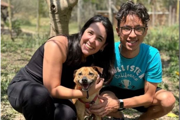 Marcelinho, cachorro atropelado por bêbada, tem alta e volta para casa. Imagem: Arquivo pessoal