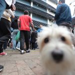 Enem: São Paulo anuncia transporte gratuito neste domingo (16). Imagem: Paulo Pinto/Ag. Brasil