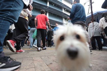 Enem: São Paulo anuncia transporte gratuito neste domingo (16). Imagem: Paulo Pinto/Ag. Brasil