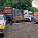 Polícia Rodoviária apreende 111 toneladas de drogas em 2025 e supera 2024. Imagem: Governo de SP