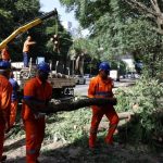 Enel: impacto do apagão em SP atingiu o dobro de pessoas estimadas. Imagem: Rovena Rosa/Agência Brasil - diariosp.com.br Enel: impacto do apagão em SP atingiu o dobro de pessoas estimadas. Imagem: Rovena Rosa/Agência Brasil