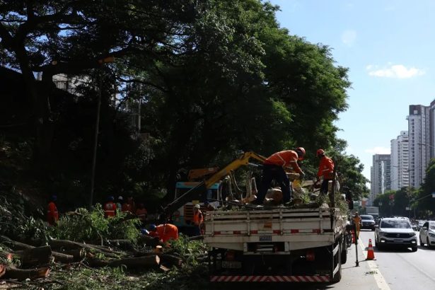 Procon-SP aplica multa de R$ 14,2 mi à Enel por falta de energia. Imagem: Rovena Rosa/Agência Brasil