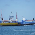 VÍDEO: cachorro pula da balsa, cai no mar e é resgatado. Imagem: Governo de SP