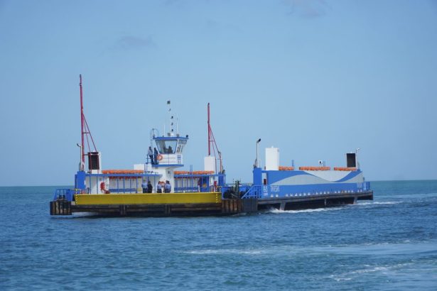 VÍDEO: cachorro pula da balsa, cai no mar e é resgatado. Imagem: Governo de SP