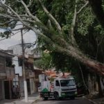 São Paulo no caos: vendaval de quarta (10) ainda afeta a cidade. Imagem: Divulgação Enel