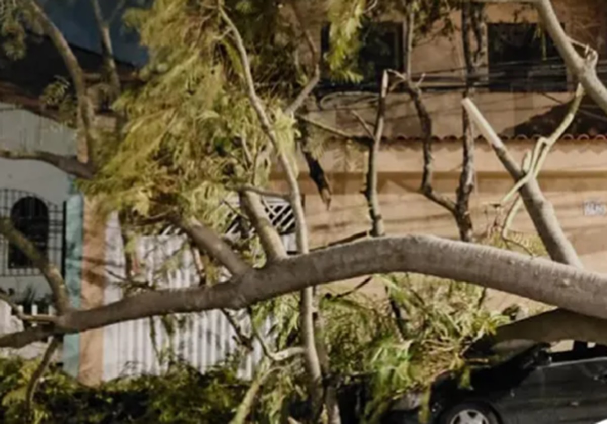 São Paulo no caos: vendaval de quarta (10) ainda afeta a cidade. Imagem: Divulgação Enel