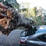 Enel leva prejuízo de até R$ 100 mi, diz Fhoresp. Imagem: Paulo Pinto/Ag. Brasil