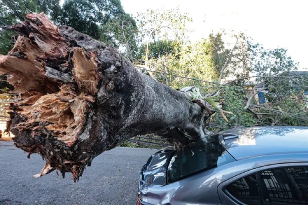 Enel leva prejuízo de até R$ 100 mi, diz Fhoresp. Imagem: Paulo Pinto/Ag. Brasil