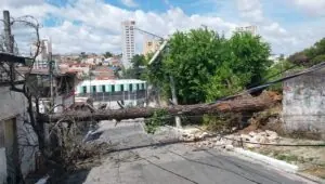 Enel: o que acontece se houver processo de caducidade. Imagem: Divulgação Enel