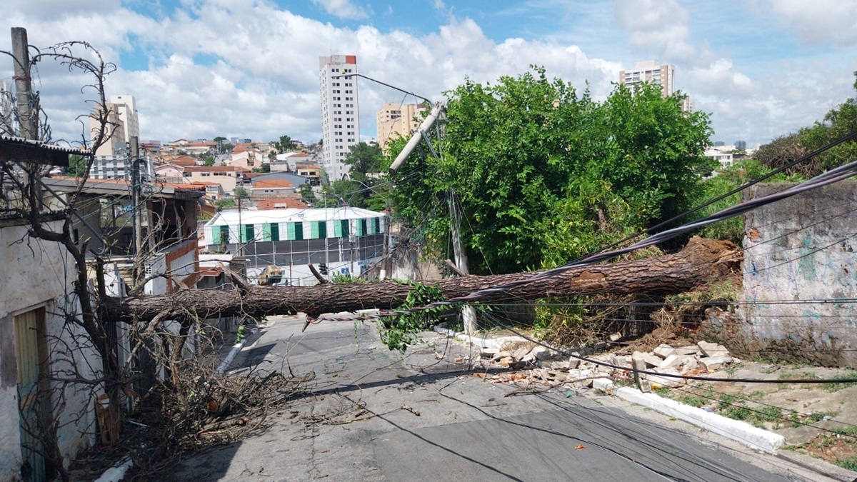 Tarcísio cobra intervenção federal na Enel; multas passam de R$ 370 mi. Imagem: Divulgação Enel