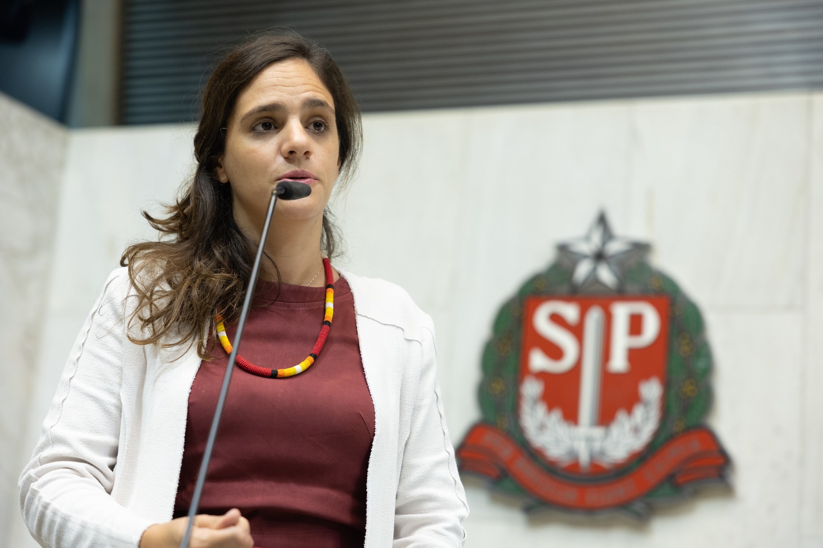 Cardápio impresso: Tarcísio veta lei que obrigava versão nos restaurantes. Imagem: Pixabay. Imagem: Iury Carvalho/Alesp