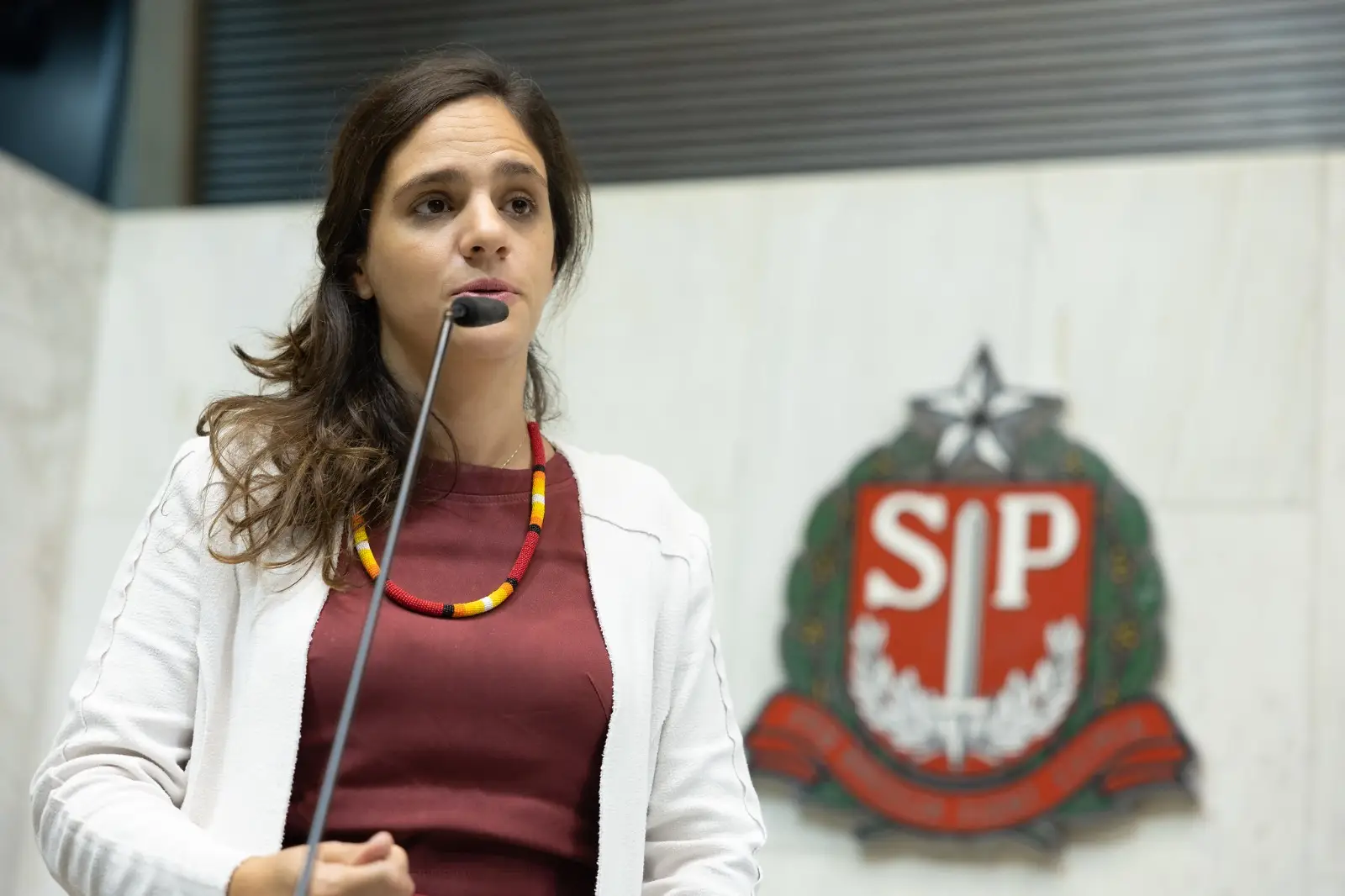 Cardápio impresso: Tarcísio veta lei que obrigava versão nos restaurantes. Imagem: Pixabay. Imagem: Iury Carvalho/Alesp