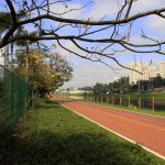 Parque Bruno Covas: SP abre consulta pública até dia 22 para nova gestão. Imagem: Governo de SP