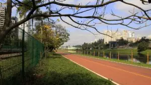 Parque Bruno Covas: SP abre consulta pública até dia 22 para nova gestão. Imagem: Governo de SP