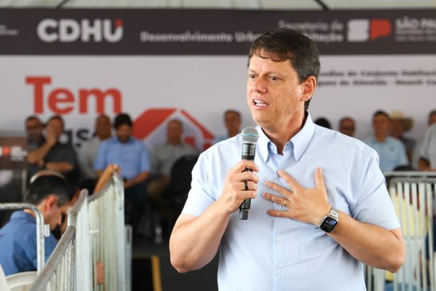 Tarcísio evita citar Flávio Bolsonaro, mas promete 'direita unida'. Imagem: Célio Messias/Governo de SP