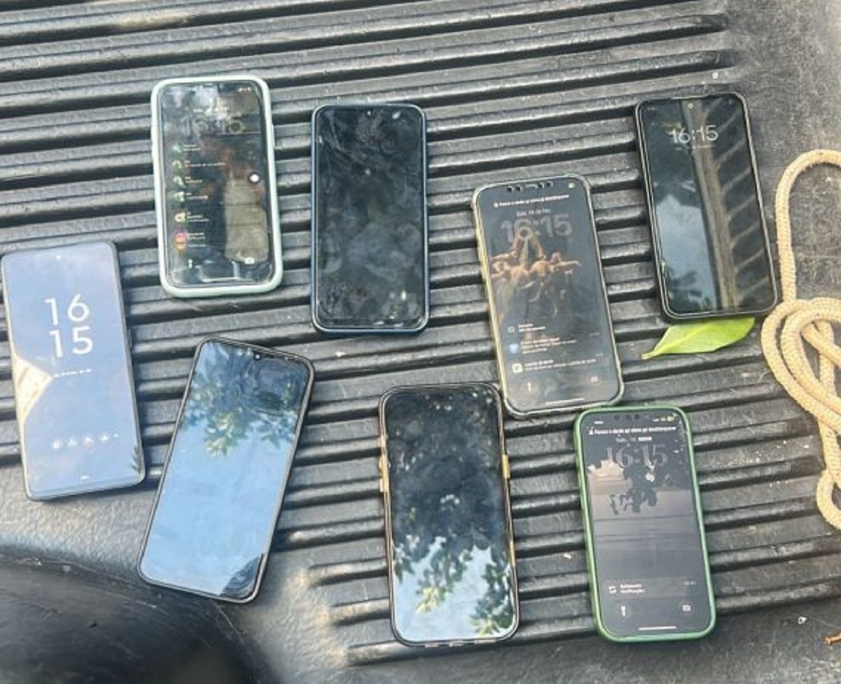 Scooby-Doo ajuda na prisão de ladrões no carnaval em SP. Imagem: Divulgação Governo de SP