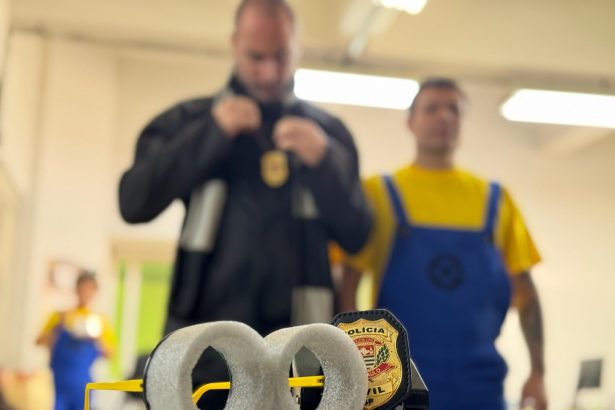 'Minions' recuperam ceulares e prendem criminosos no Carnaval. Imagem: Governo de SP